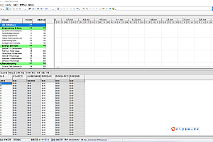 Primavera P6 Pro Project Management 项目管理软件060703