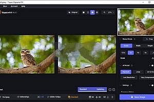 Topaz Gigapixel AI AI 智能图像放大软件 020409