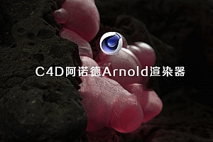 C4D插件:阿诺德Arnold渲染器 (R20-2023版本合集) 030108