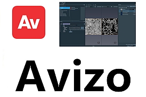 Avizo 三维可视化图像处理 060657