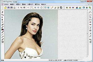 WinTopo Pro 光栅转矢量工具 020309