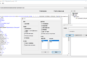VB Decompiler Pro 程序的反编译软件 081702