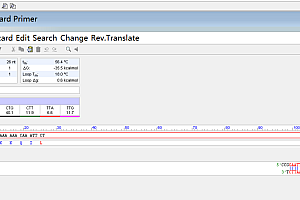 Oligo 引物设计软件DNA和RNA二级结构二聚体形成工具oligo 060638