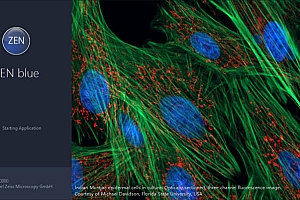 【合集】Zeiss Zen 蔡司共聚焦分析软件ZEISS Zen lite 共聚焦显微成像软件CZI编辑导出 060648