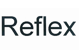 【合集】Reflex 授权地震探地雷达超声波数据处理Sandmeier ReflexW 060314