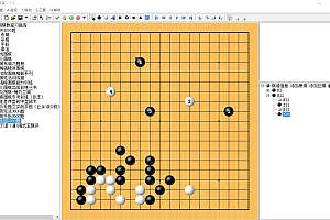围棋做题软件,包含梅兰竹菊3600等围棋布局定式死活讲解适合学习100103