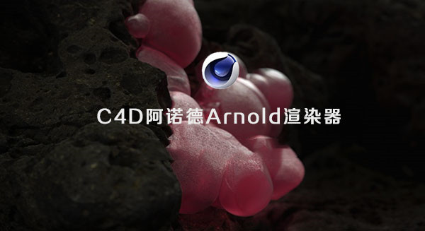 C4D插件:阿诺德Arnold渲染器 (R20-2023版本合集) 030108
