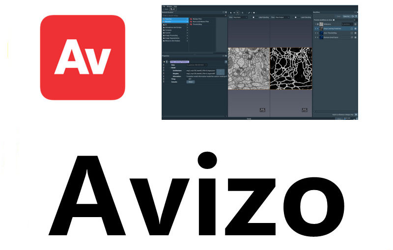 Avizo 三维可视化图像处理 060657