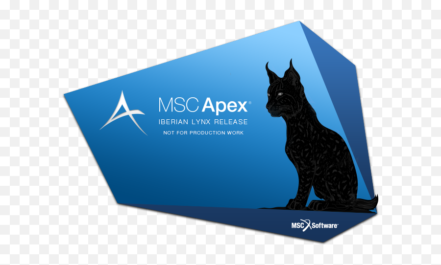 MSC Apex Iberian Lynx 2019 工程仿真中文含Documentation 010538