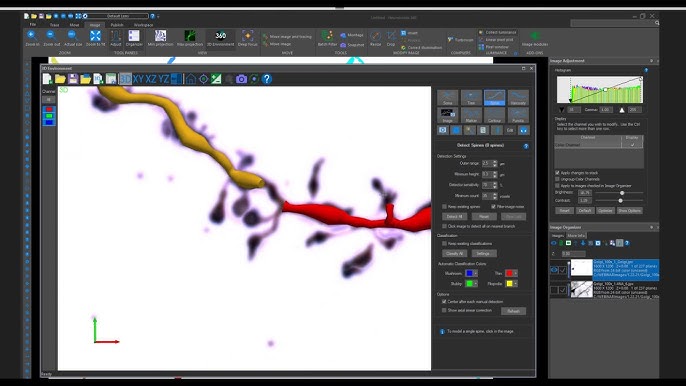 Neurolucida 360 正置显微镜复合神经描绘自动化分析系统neurolucida060680