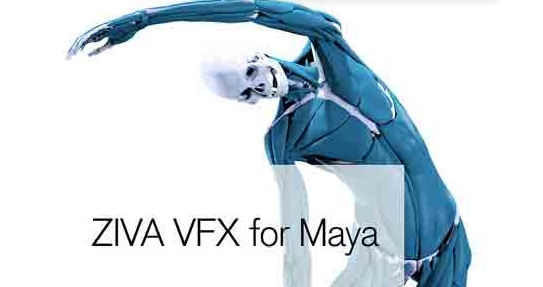 Ziva VFX Maya机体软促织特效模拟插件Ziva Dynamics软组织模拟插件011601