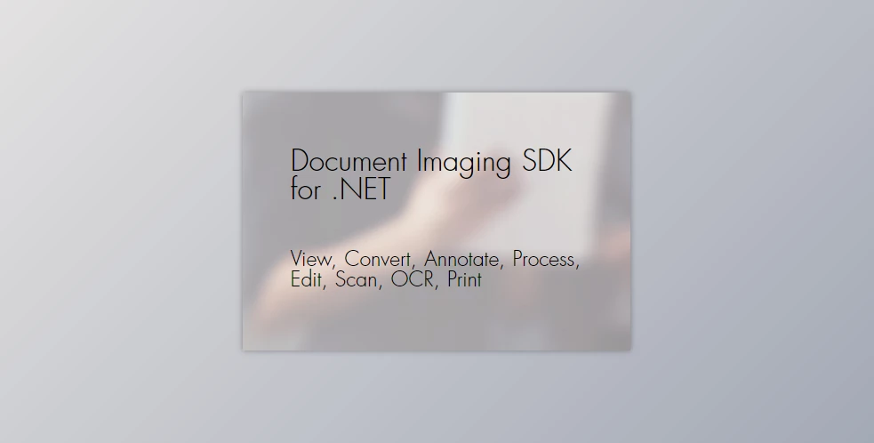 RasterEdge Document Imaging SDK 导出PDF解决方案080539