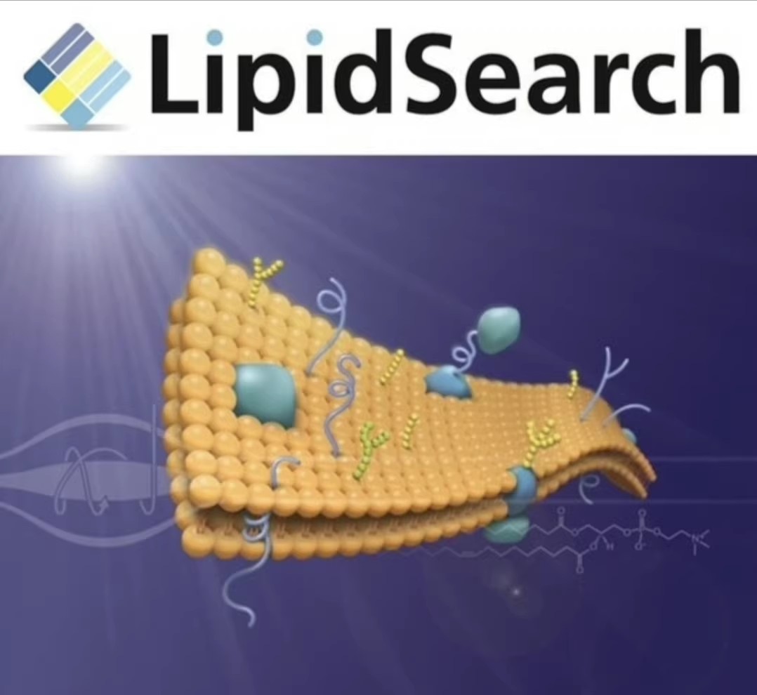 LipidSearch 5.1 加密狗版 自动脂质鉴定软件各种复杂数据生物样本准确自动鉴定工具060212