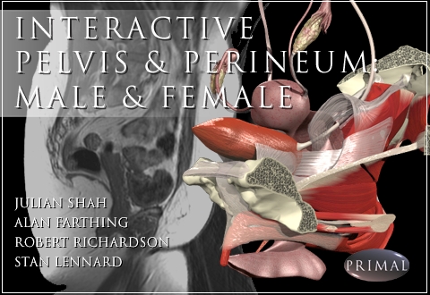 Interactive 3D Anatomy Series Complete Human Anatomy 交互式解剖学交互式3D解剖学系列完整人体解剖学(所有CD)060217