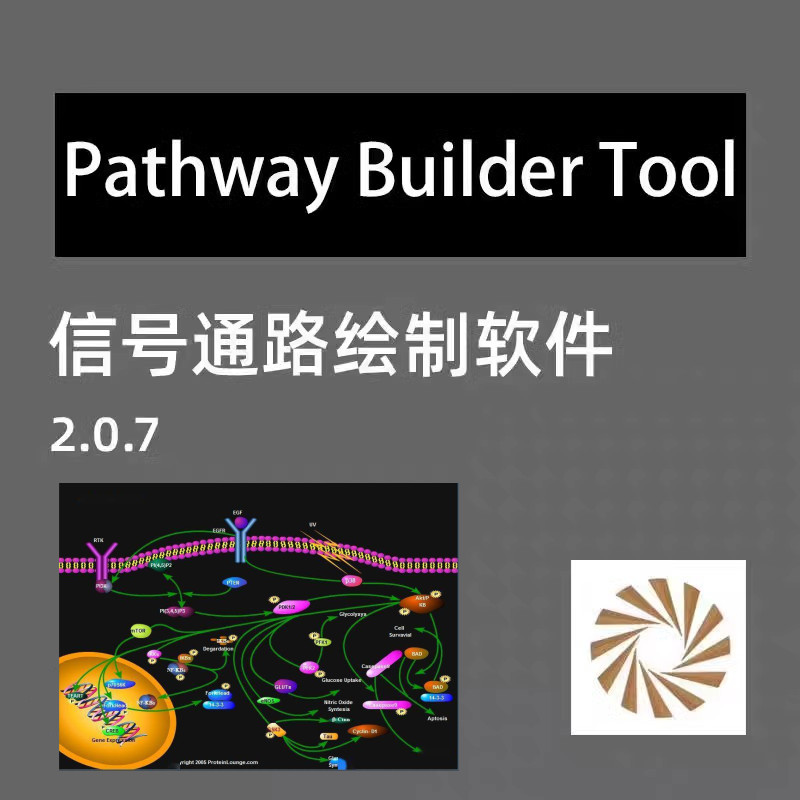Pathway Builder Tool 信号通路绘图医学研究软件 2.0.7 win 060534