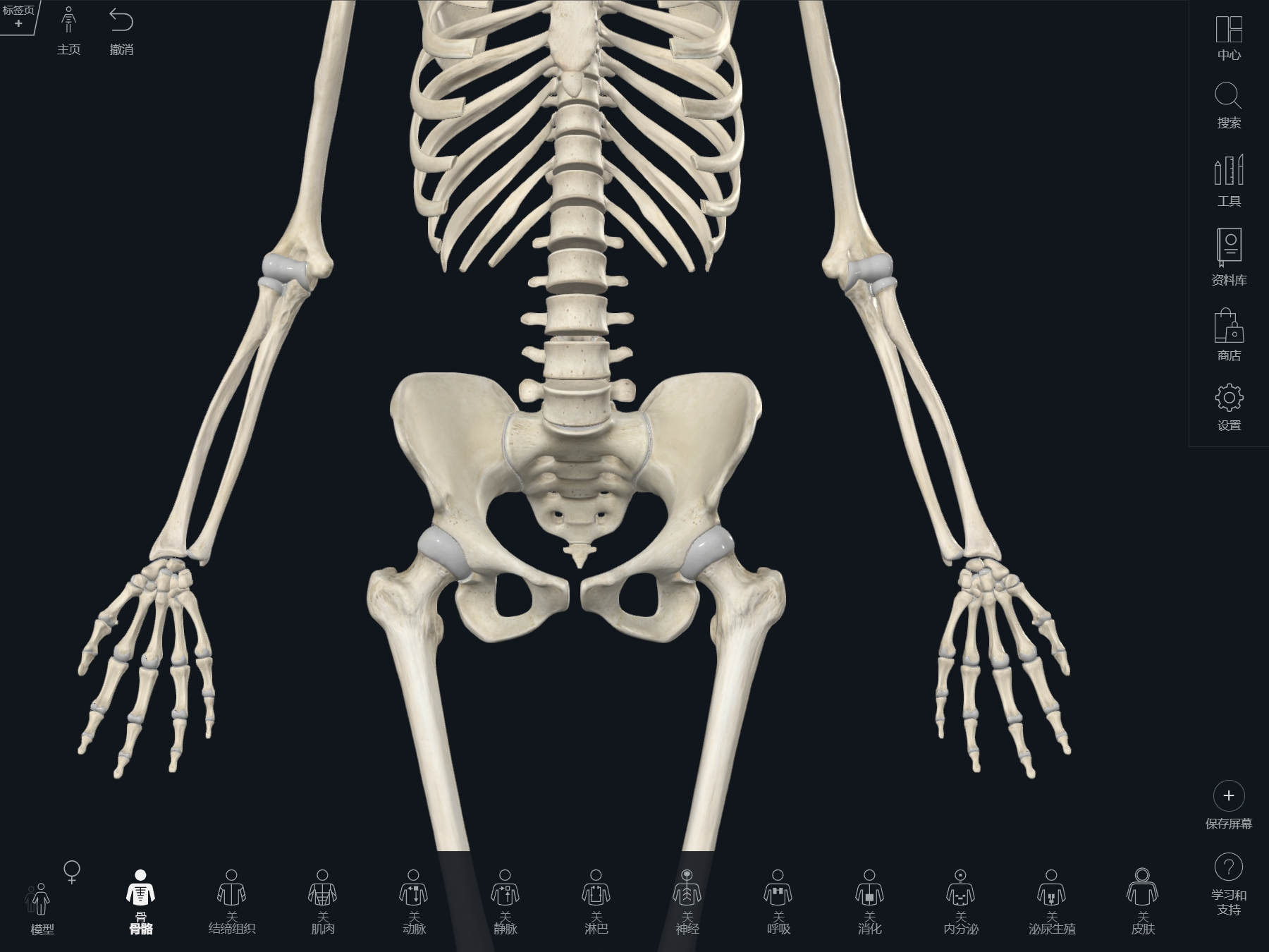 Complete Anatomy 系统解剖学 专业版许可证 解剖图谱 断层图谱 运动健身康复指导疾病科普工具complete anatomy 060536