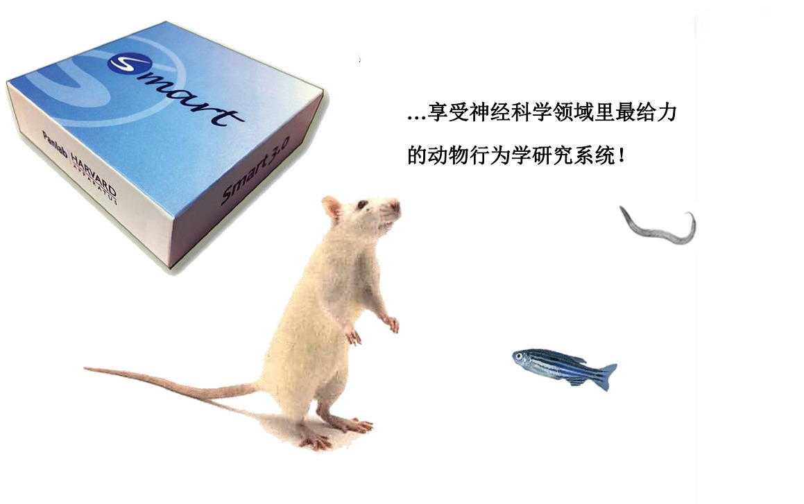 smart3.0 加密狗版SMART v3.0小动物行为记录分析系统060543