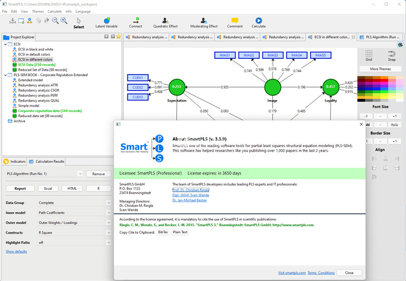 SmartPLS Professional 3.3.9 结构方程建模工程软件011167